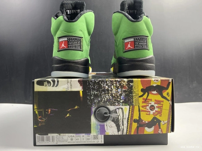 Chep Onekick Jordan Air Ducks Oregon SE 5 CK6631-307 0731